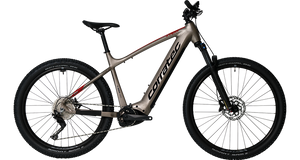 Corratec E-Power X-Vert Pro Gent (24)